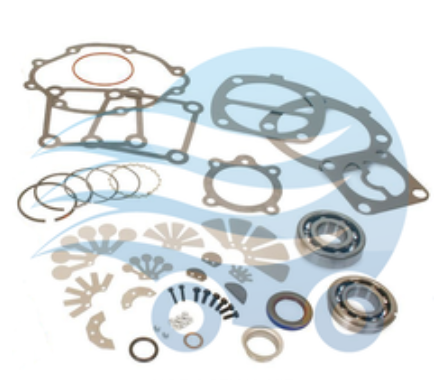 Gaskets and Seals